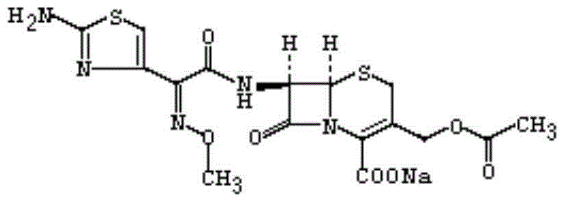 Long-acting cefotaxime sodium injection and preparation method thereof