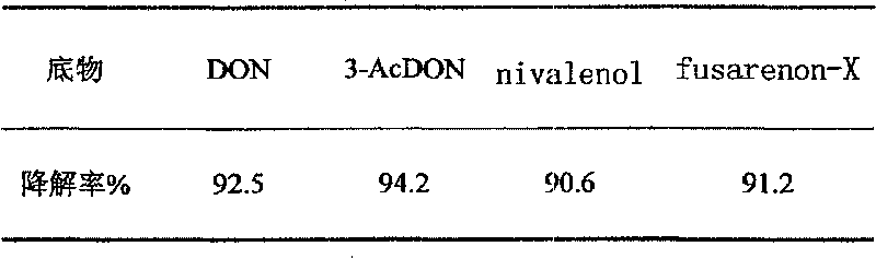 Bacterial strain capable of degrading mold toxin and formulation preparation method thereof