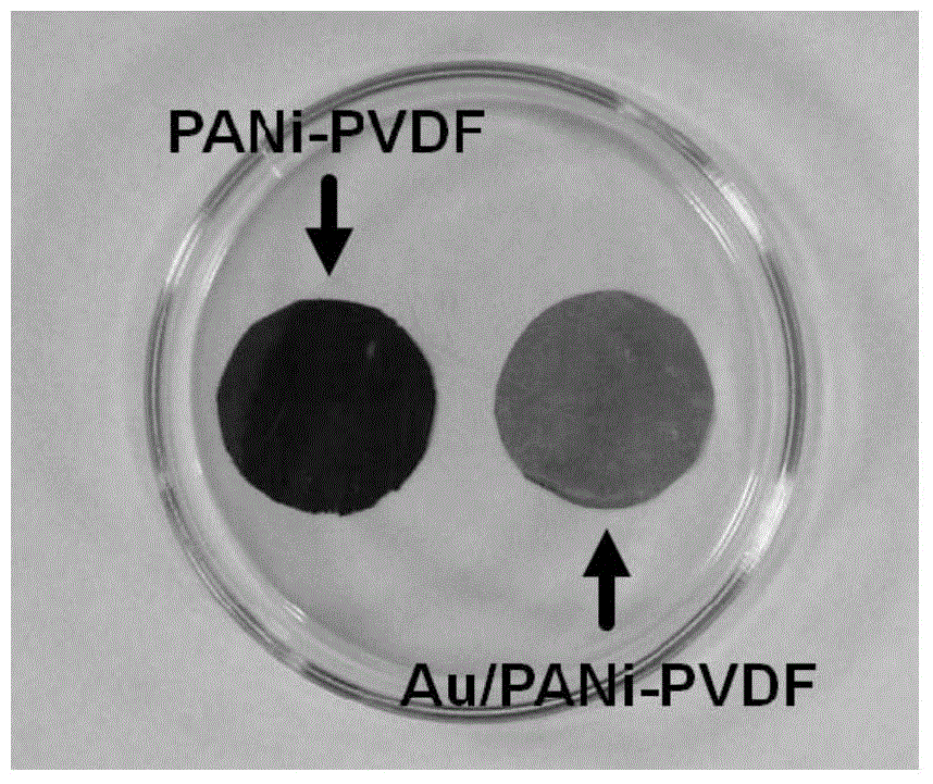 Method utilizing conductive polymer porous separating membrane to recycle metals from electronic wastes