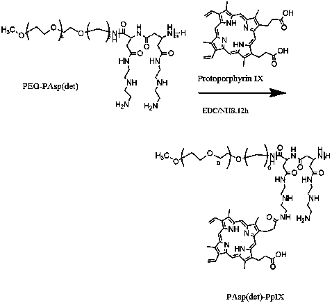 Polyamino acid sound-sensitive agent and preparation method and application thereof