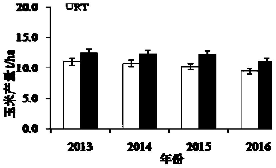 A combined rotation cultivation method for wheat and jade double cropping with high yield and organic carbon content