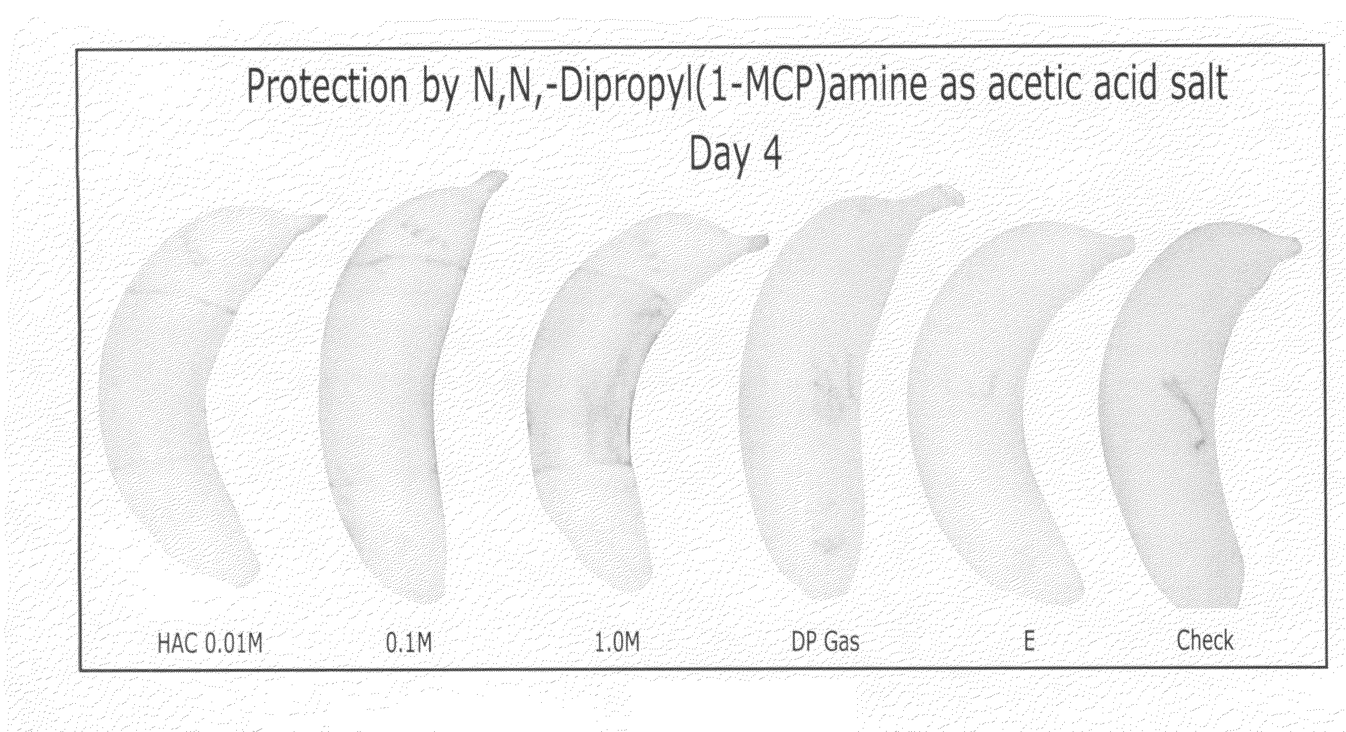 Methods of inhibiting ethylene responses in plants using cyclopropene amine compounds