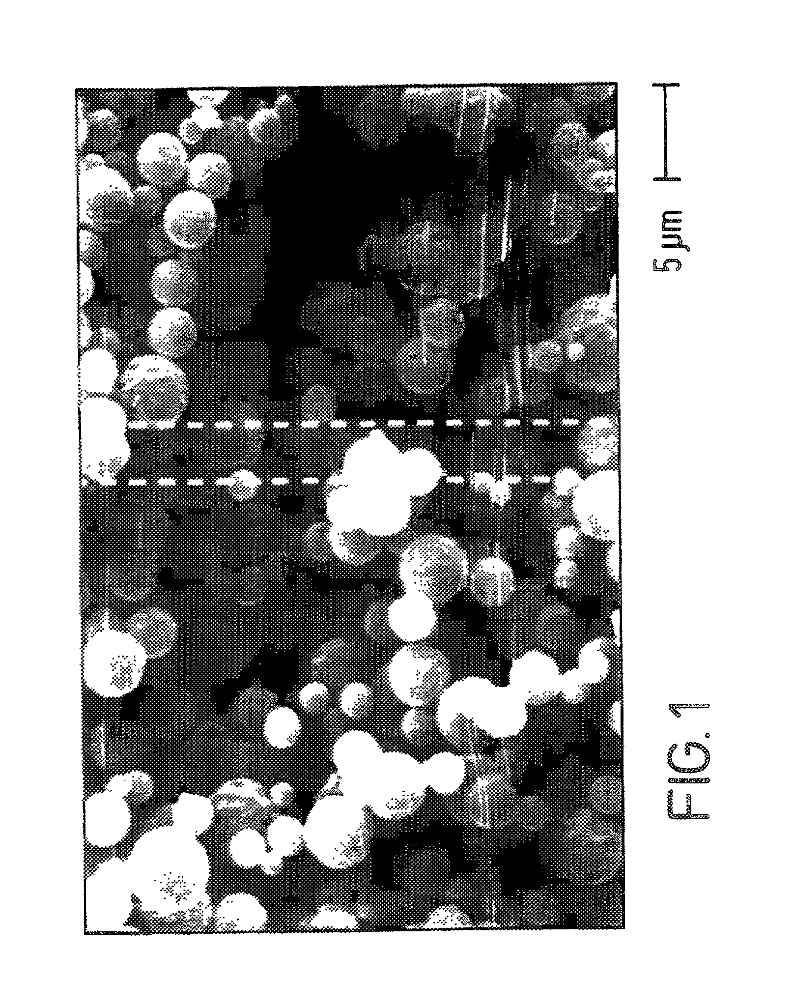 Process and device for inhalation of particulate medicaments