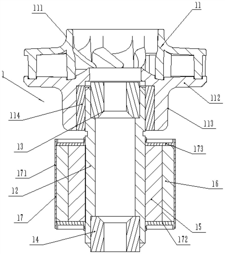 Rotor assembly of high-power brushless electronic water pump and mounting structure of rotor assembly