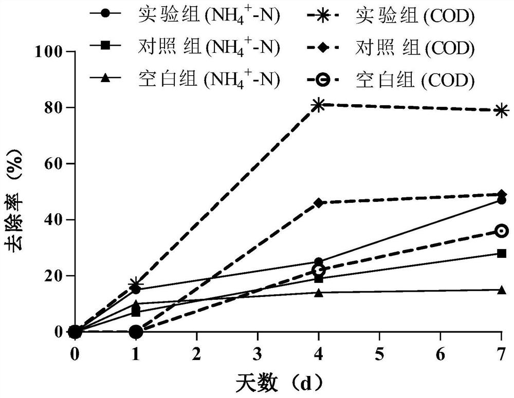 Leather wastewater treatment system and method