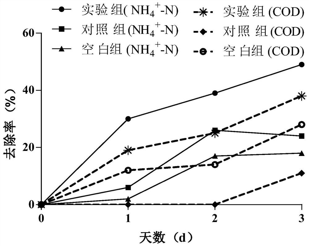 Leather wastewater treatment system and method