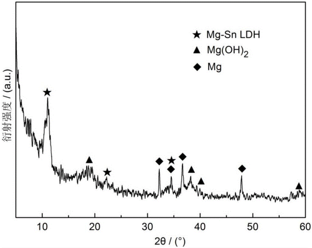 Mg(OH)2/Mg-Sn hydrotalcite composite film having intercalation structure on surface of magnesium and magnesium alloy and preparation method thereof