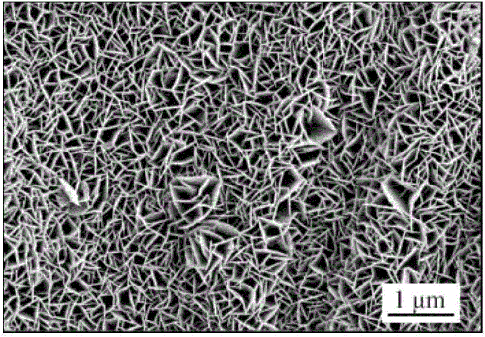 Mg(OH)2/Mg-Sn hydrotalcite composite film having intercalation structure on surface of magnesium and magnesium alloy and preparation method thereof