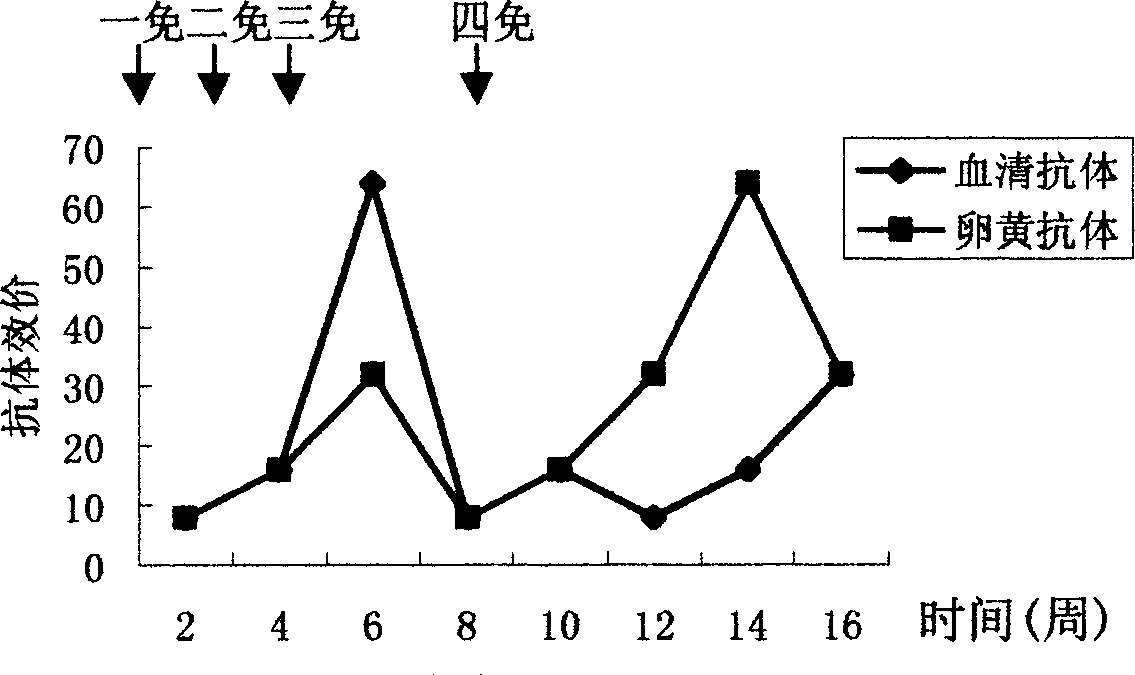 Yolk antibody and antigen of pig's infective enterogastritis virus and its preparing process