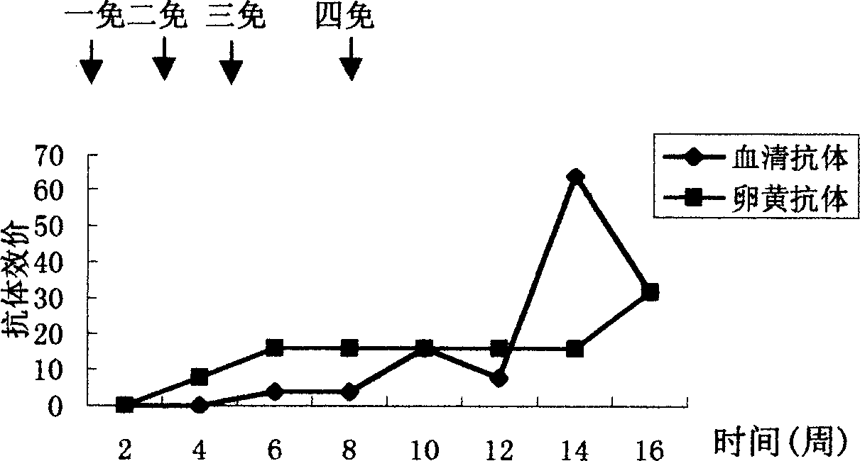 Yolk antibody and antigen of pig's infective enterogastritis virus and its preparing process