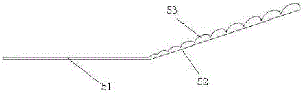 Liquid crystal module and liquid crystal display screen