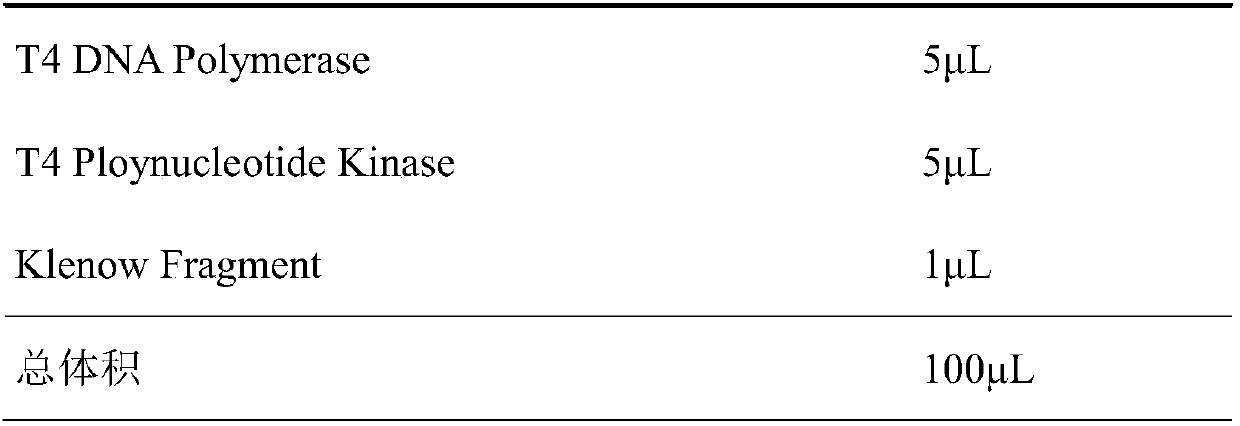 Method of establishing DNA large fragment library and applications thereof