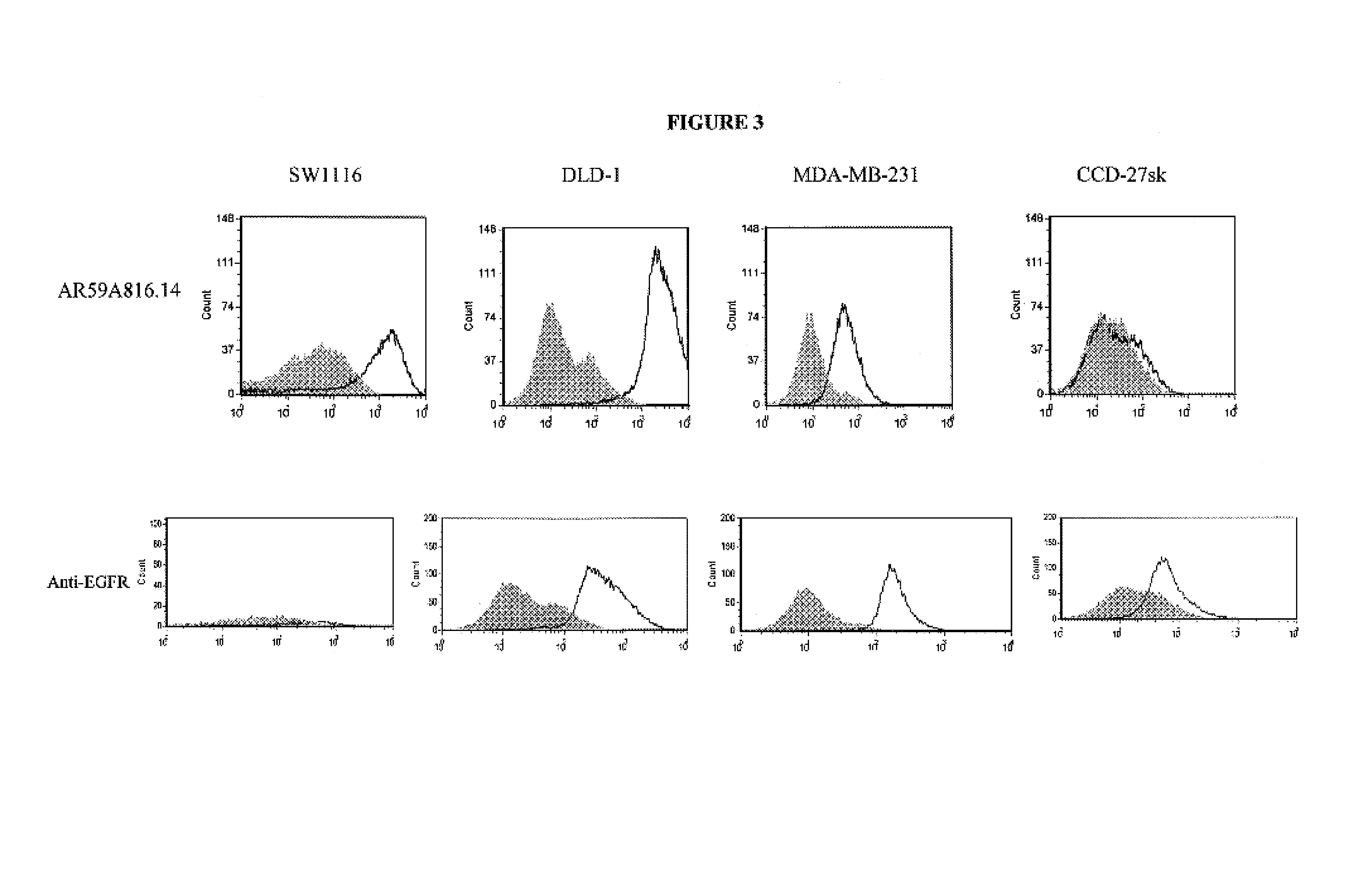 Cancerous disease modifying antibodies