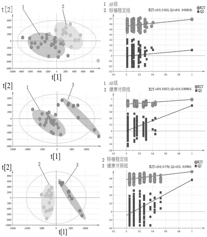 Metabolic composition for early detection of transplanted kidney acute rejection, screening method and application