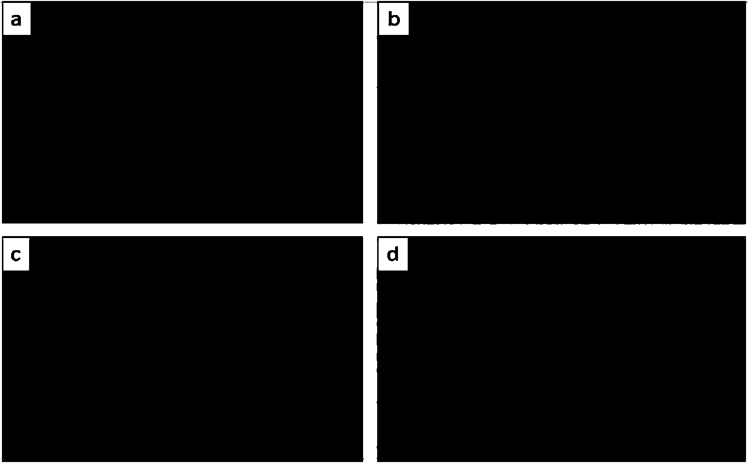 Preparation method of conductive printing ink for gas sensor electrode material