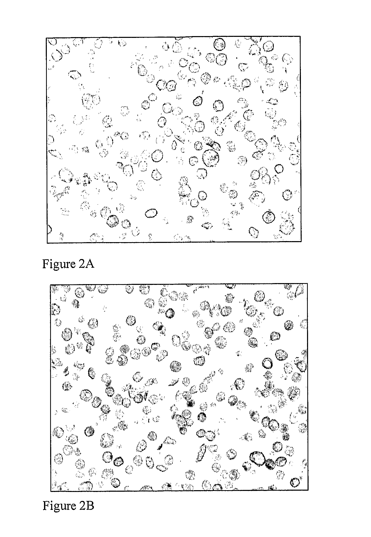 Method for preparing cell standard