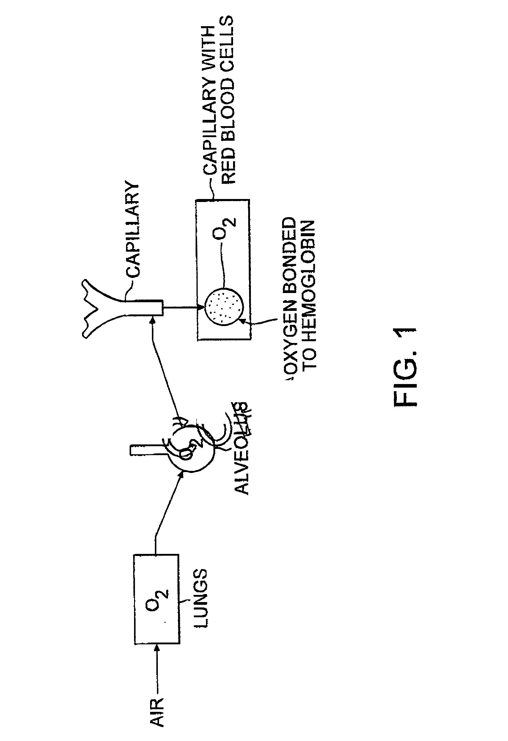 Compositions and method of tissue superoxygenation