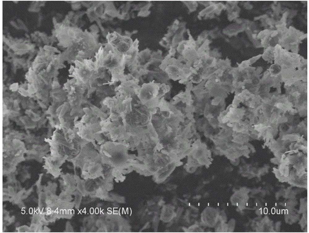 Preparation method for photocatalyst for treating nitrophenol wastewater and treatment method for nitrophenol wastewater