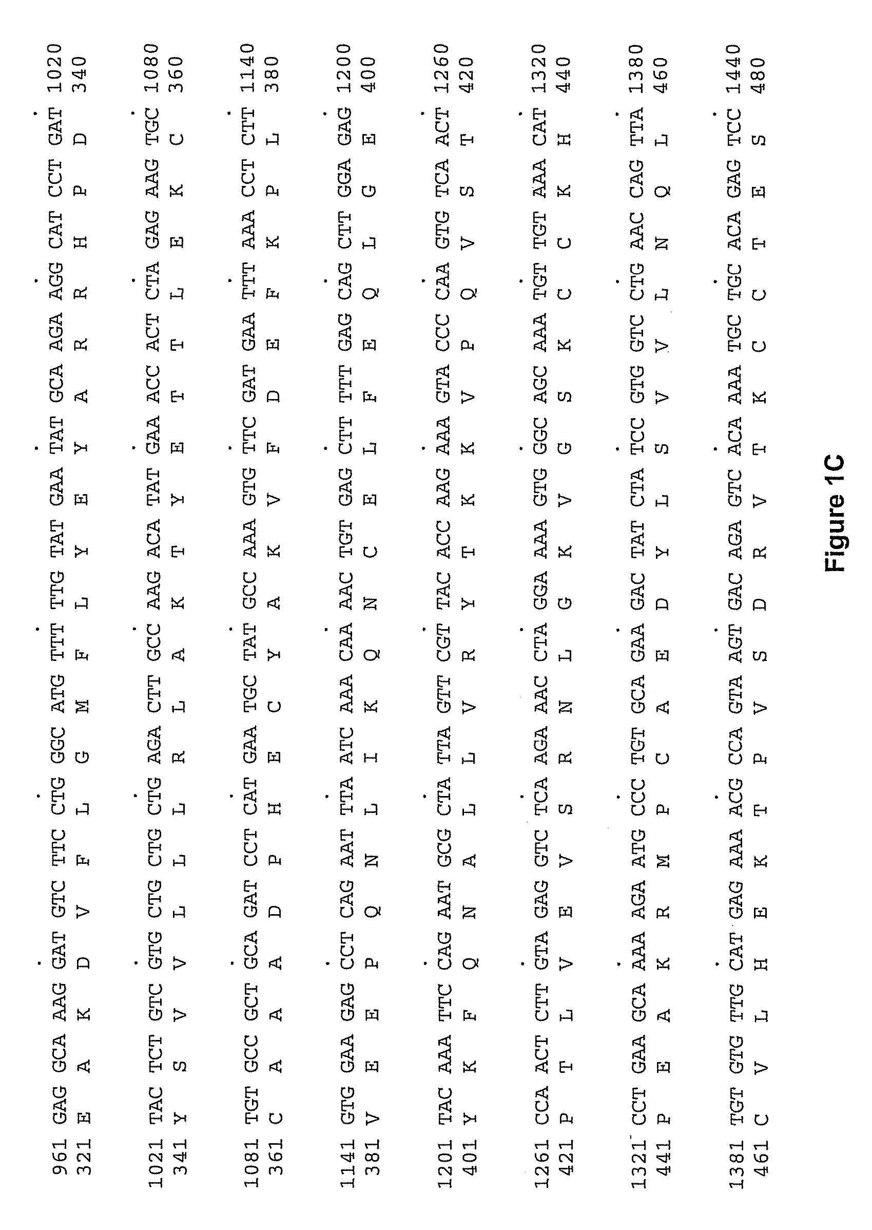 Albumin fusion proteins