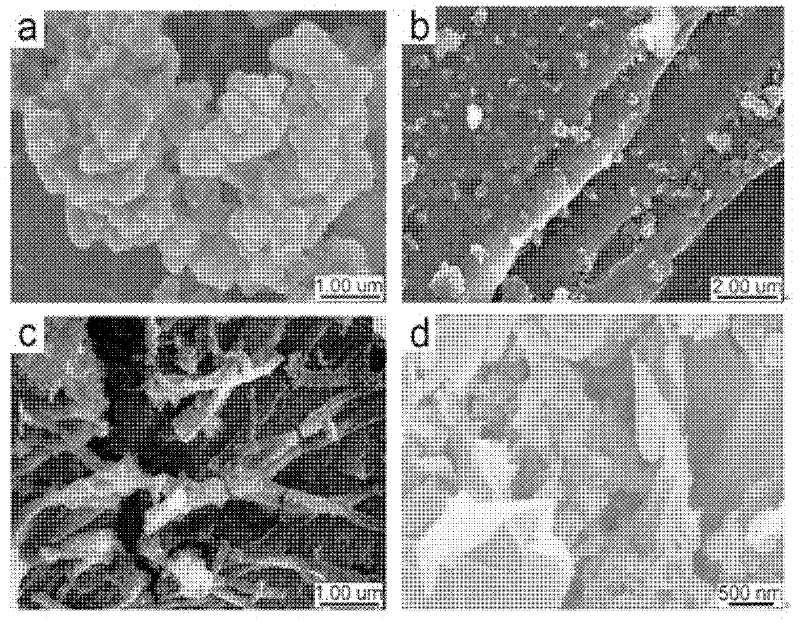 Expandable graphite/polyaniline/cobalt ferrite wave-absorbing material and preparation technology thereof