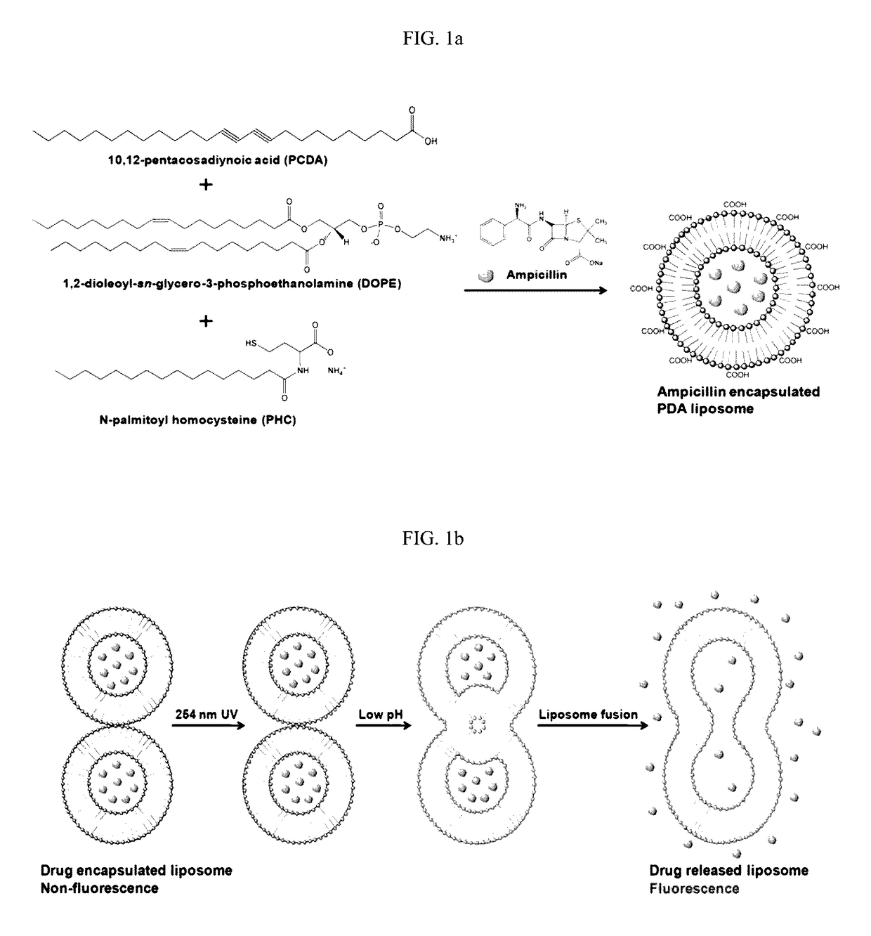 pH sensitive fluorescent polydiacetylene liposome and delivery vehicle comprising same