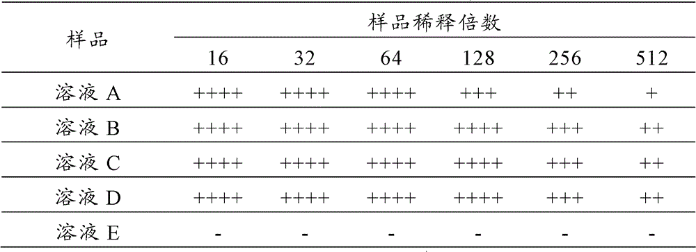 G6 lectin extracted from traditional Chinese medicines and applications thereof in detoxification, pressure stabilization, blood vessel softening and complication resistance