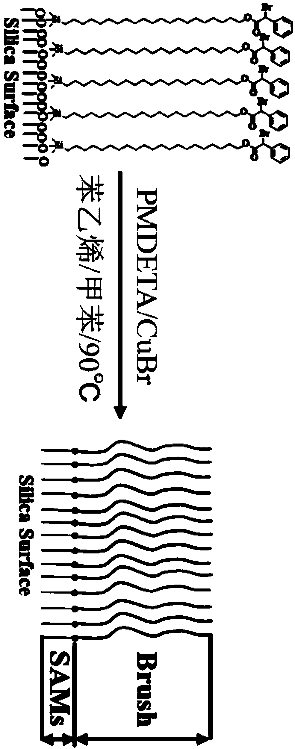 Preparation method of ultra-high graft density polymer molecular brush