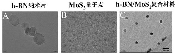 A h-bn/mos for targeted photothermal and chemical synergistic therapy  <sub>2</sub> Nanoprobe and its preparation method and application