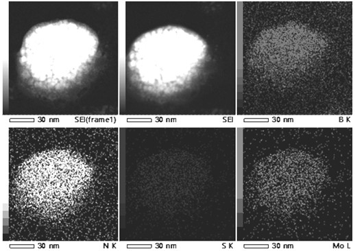 A h-bn/mos for targeted photothermal and chemical synergistic therapy  <sub>2</sub> Nanoprobe and its preparation method and application