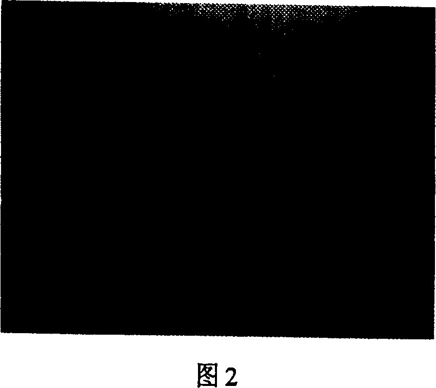 Stress corrosion method for protection of core rod used in composite insulator