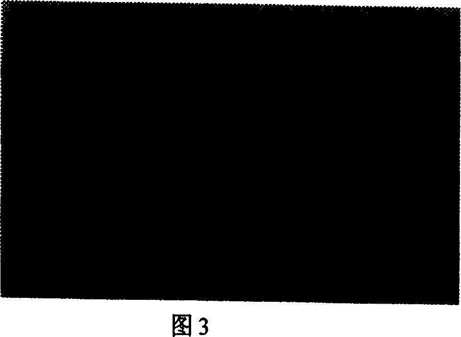 Stress corrosion method for protection of core rod used in composite insulator