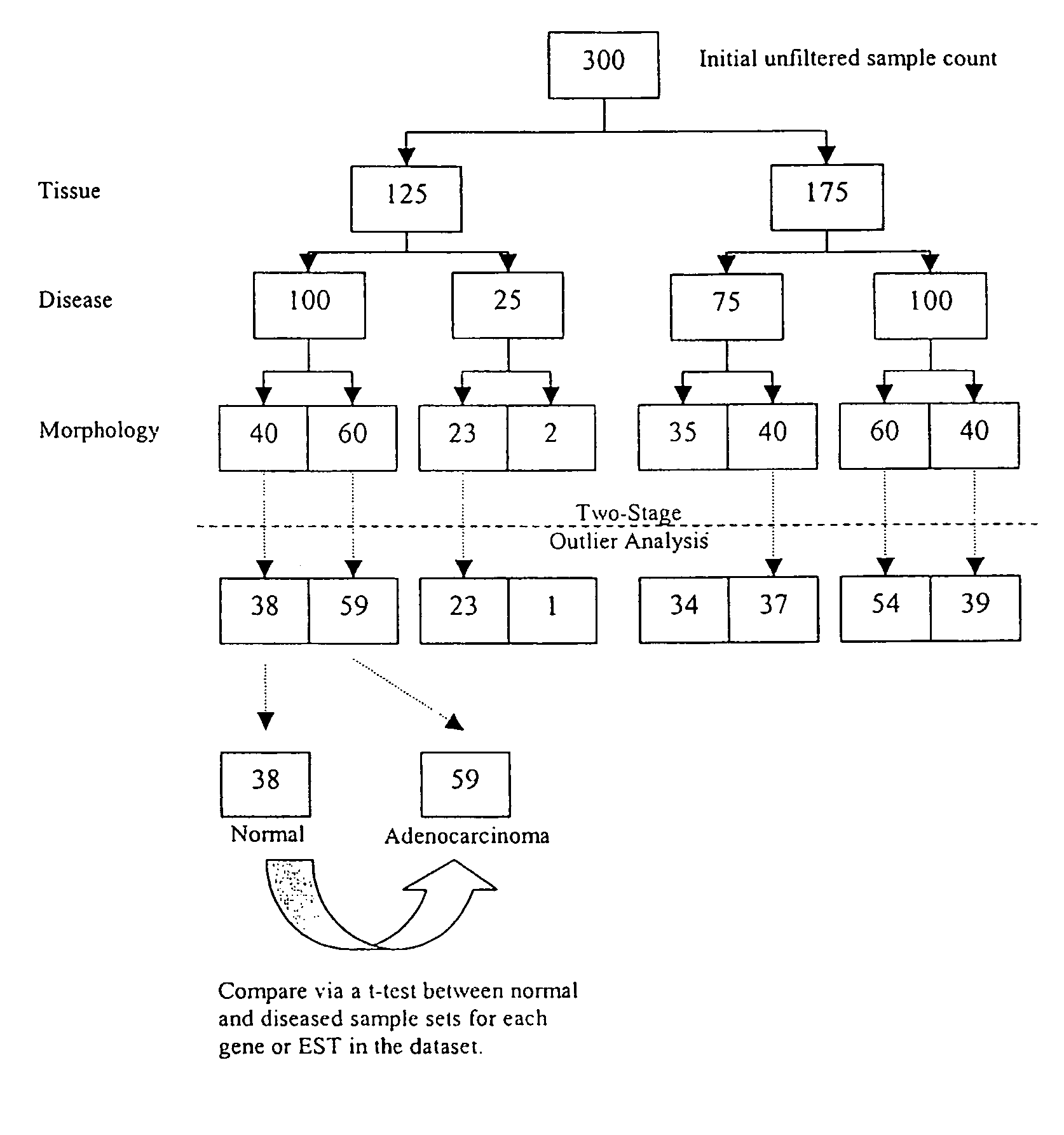 System and method for determining matching patterns within gene expression data