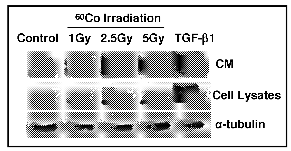 Methods and compositions for treatment or prevention of radiation-induced fibrosis