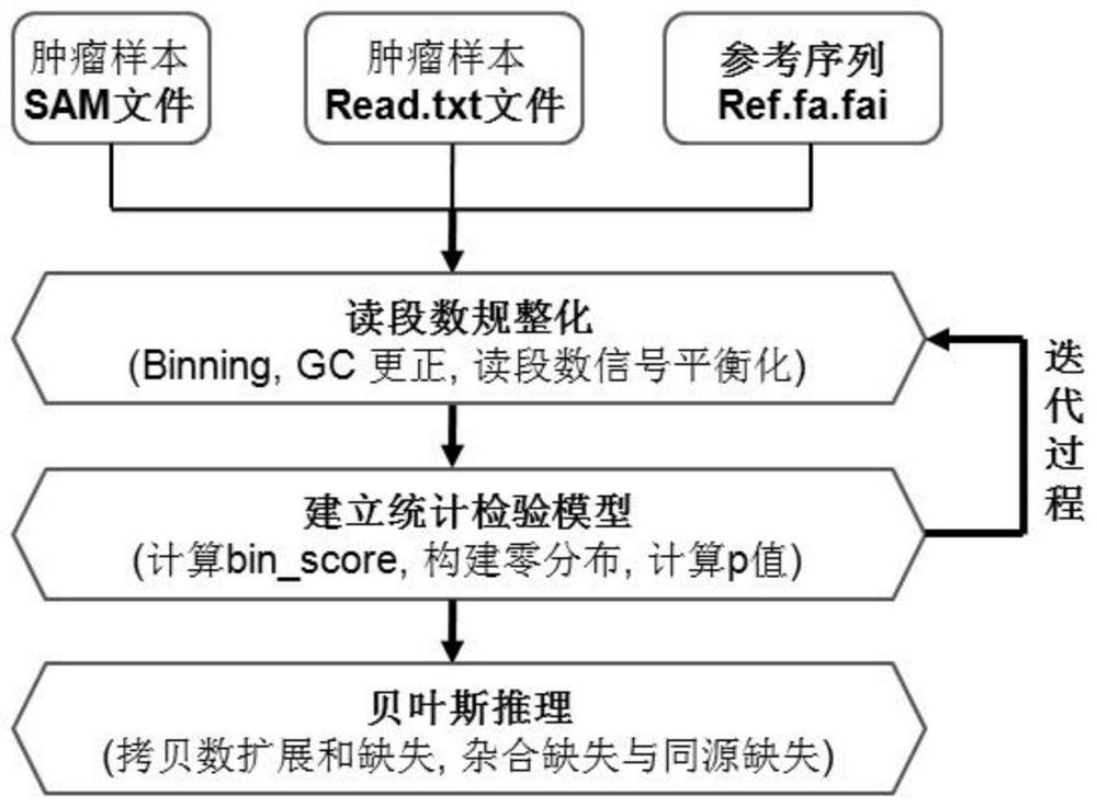 A method for detecting copy number variation and deletion types based on a single tumor sample