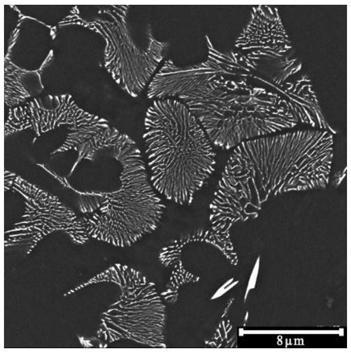 Extrusion casting magnesium alloy material and preparation method thereof