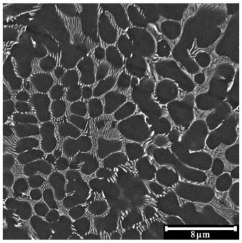 Extrusion casting magnesium alloy material and preparation method thereof