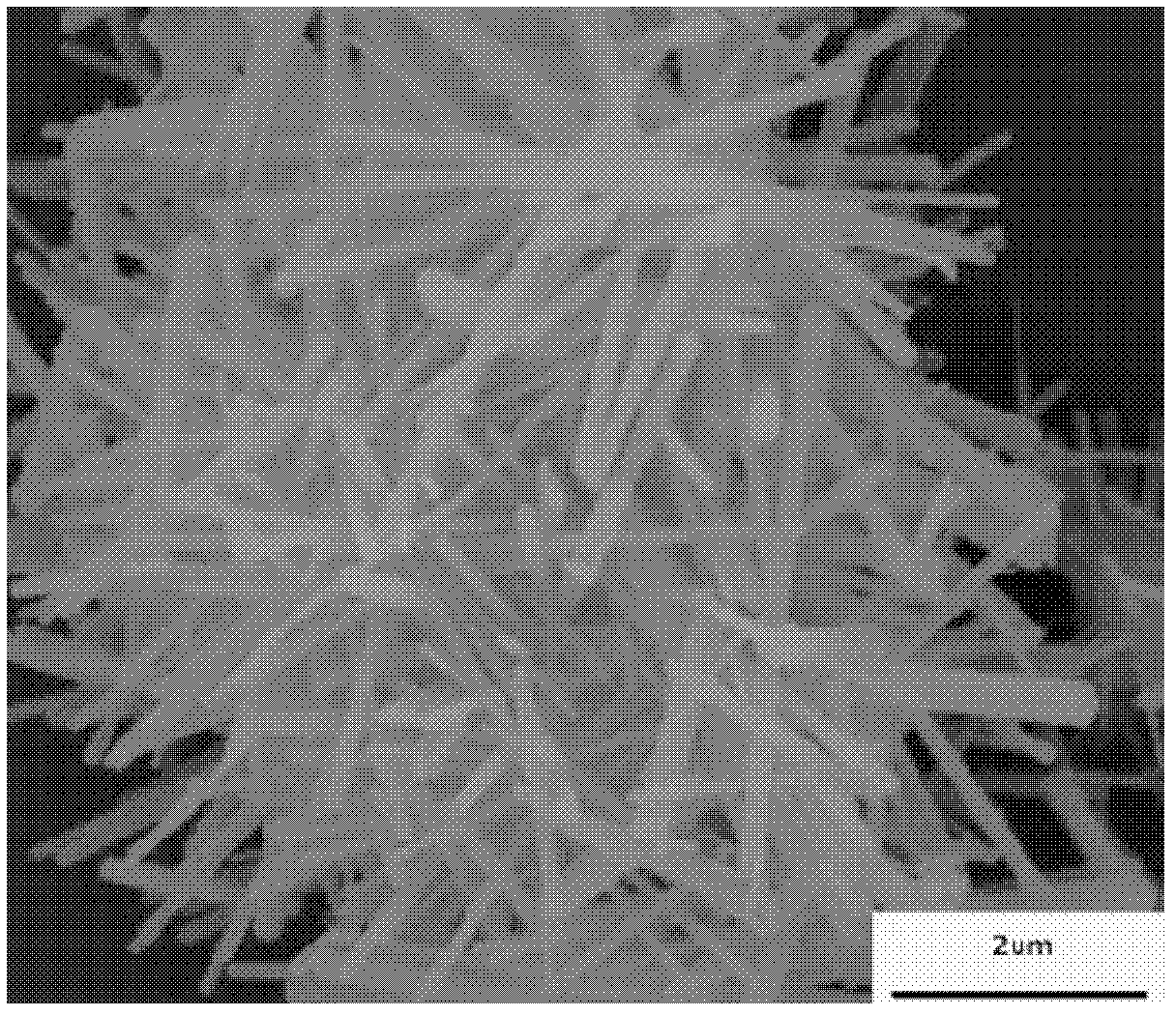 Thermally-stable hydroxyapatite whisker and preparation method thereof