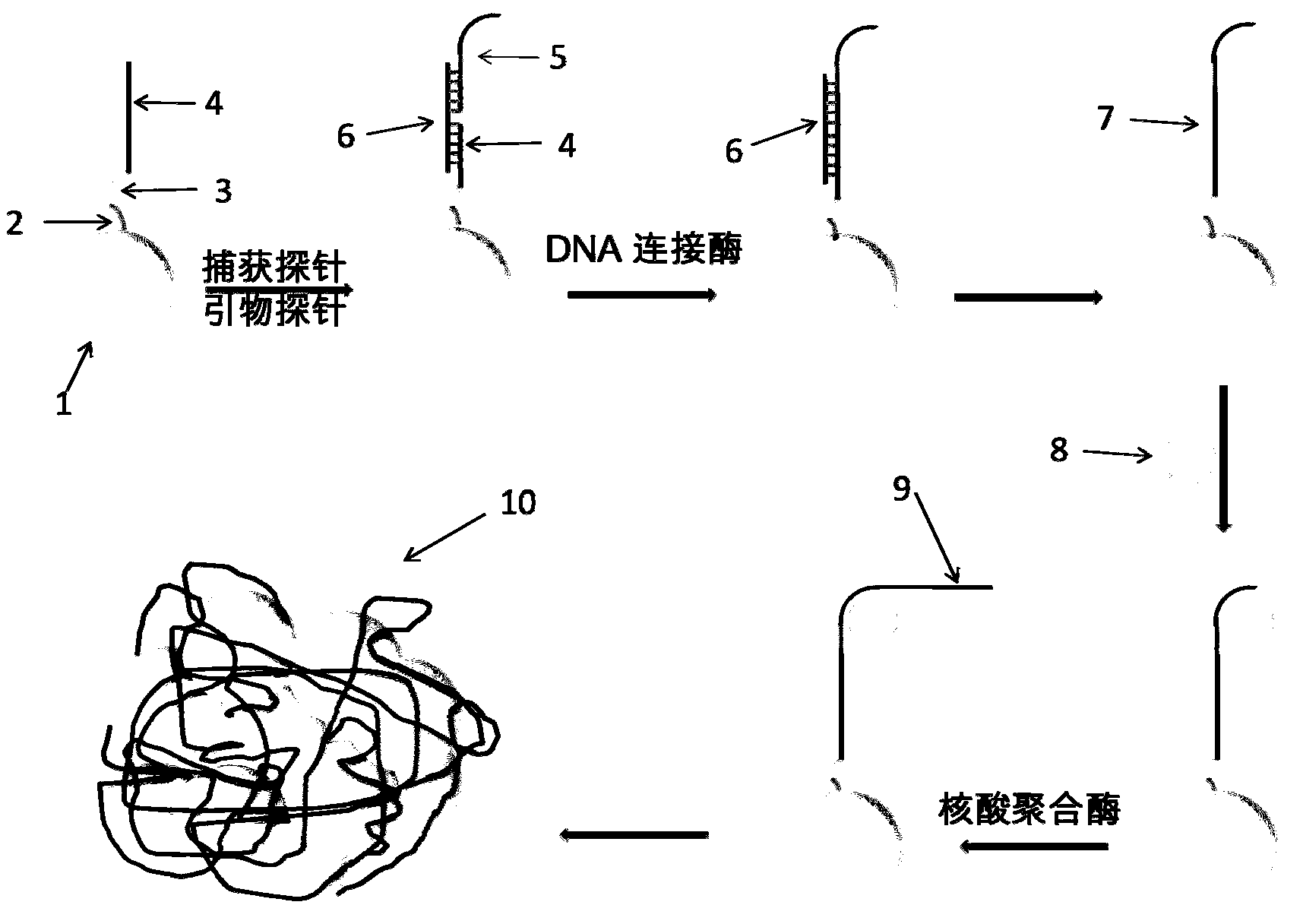 Nucleic acid qualitative detection method based on nano-particles and rolling circle amplification