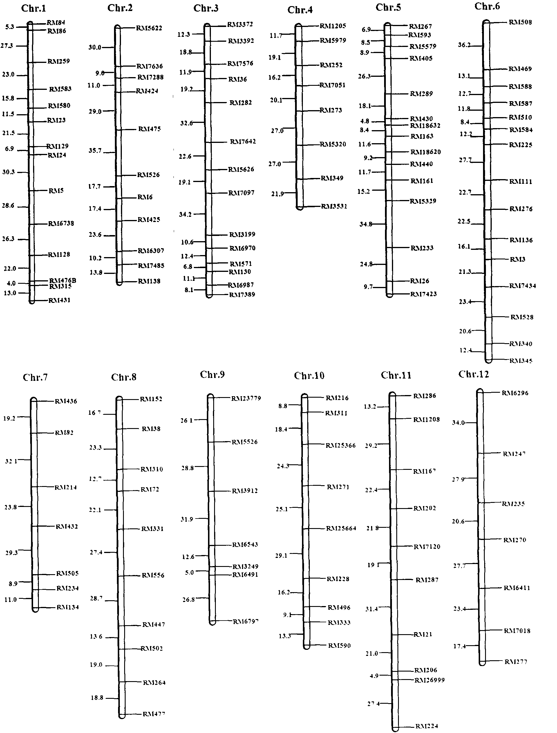 SSR (simple sequence repeat) markers, linked with Aphelenchoides besseyi Christie resistant QTL (quantitative trait locus), on chromosome 9 and application thereof