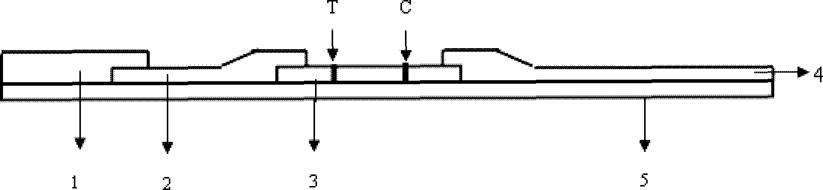 Ketamine-collaurum test paper for detection of saliva