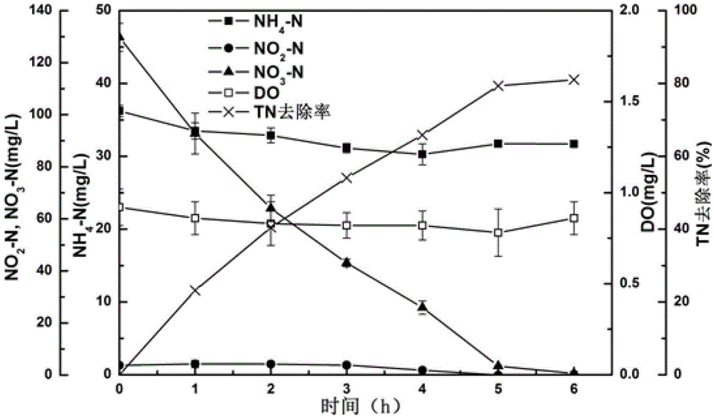 Enrichment of low temperature-resistant heterotrophic simultaneous nitrification-denitrification microbial agent and application thereof in anoxic denitrification of sewage