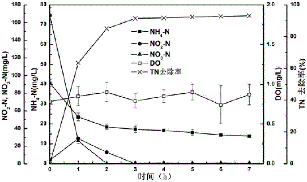 Enrichment of low temperature-resistant heterotrophic simultaneous nitrification-denitrification microbial agent and application thereof in anoxic denitrification of sewage