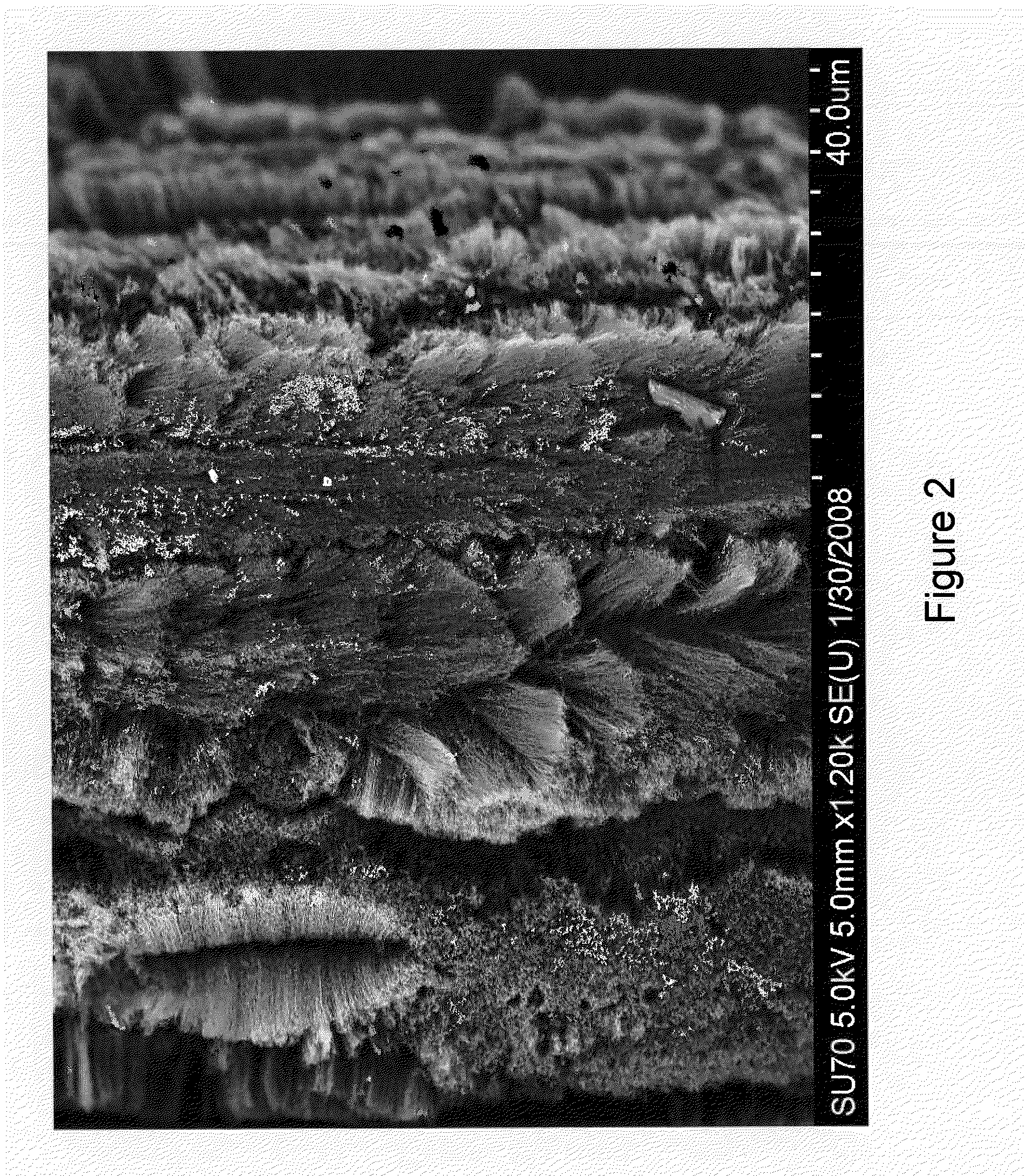 Cnt-infused glass fiber materials and process therefor