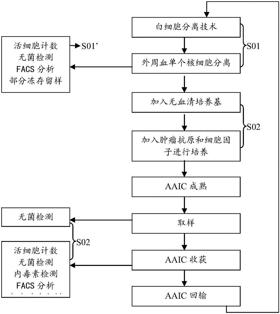 Antigen activated immune cells and culturing method and application thereof