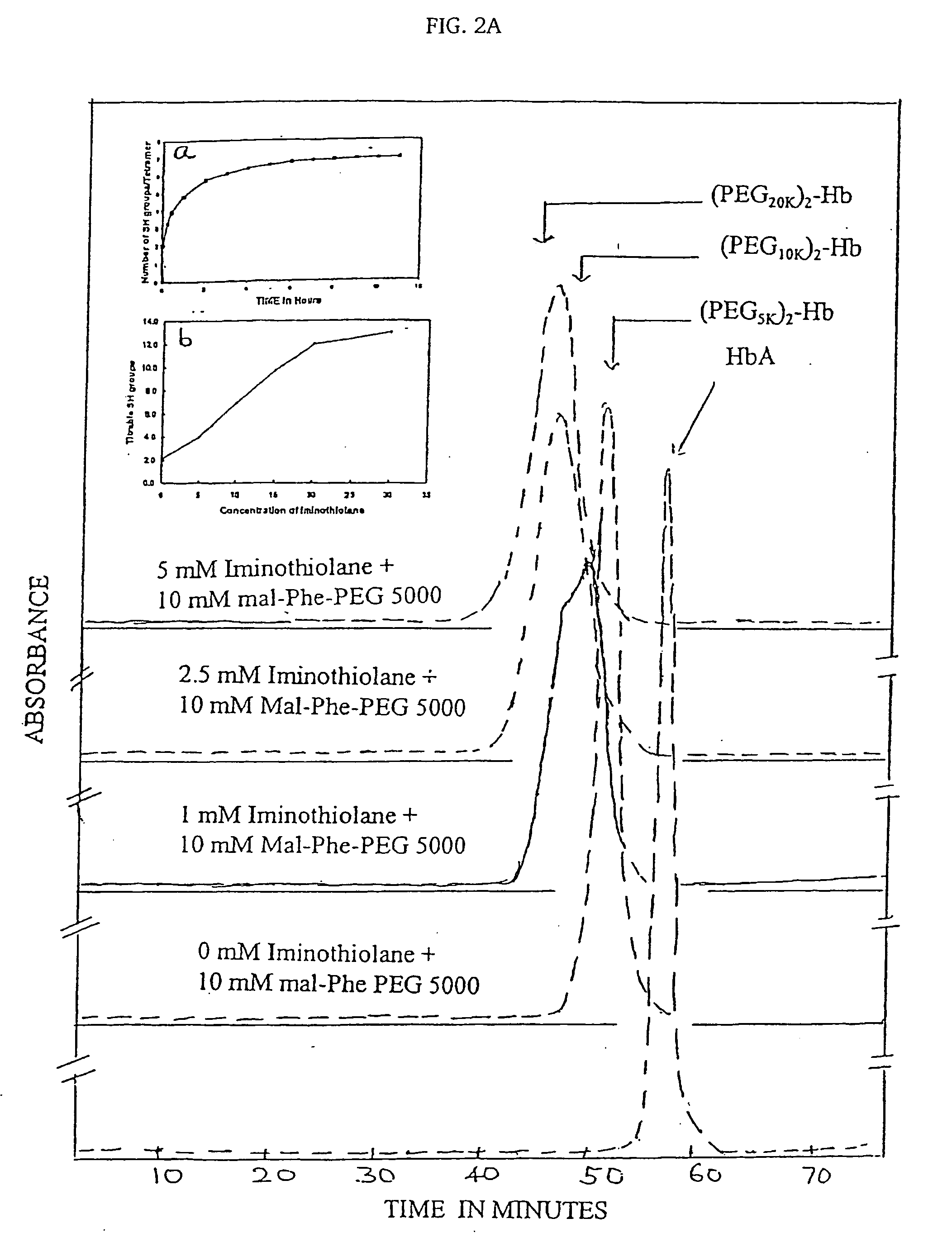 Modified hemoglobin and methods of making same