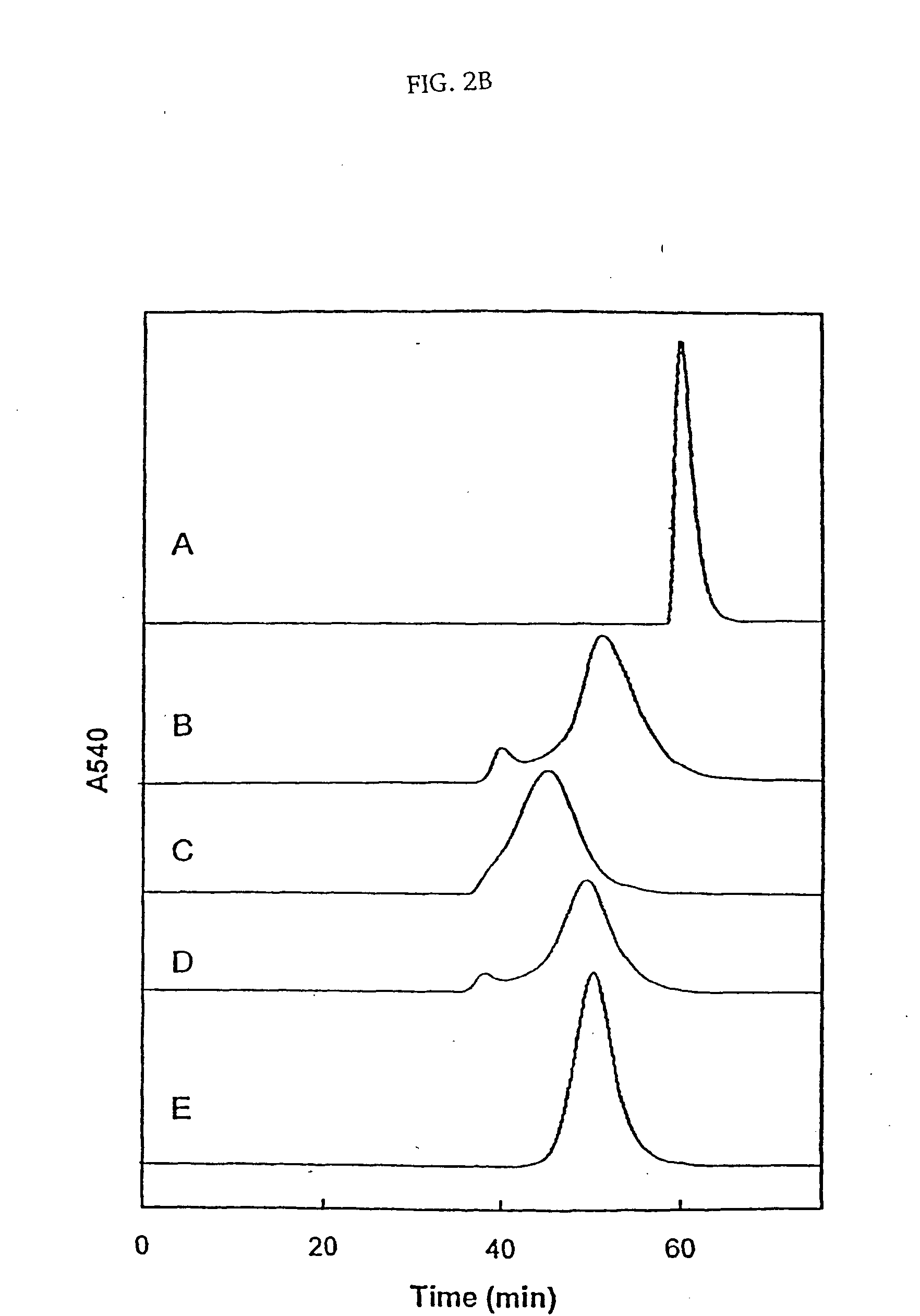 Modified hemoglobin and methods of making same