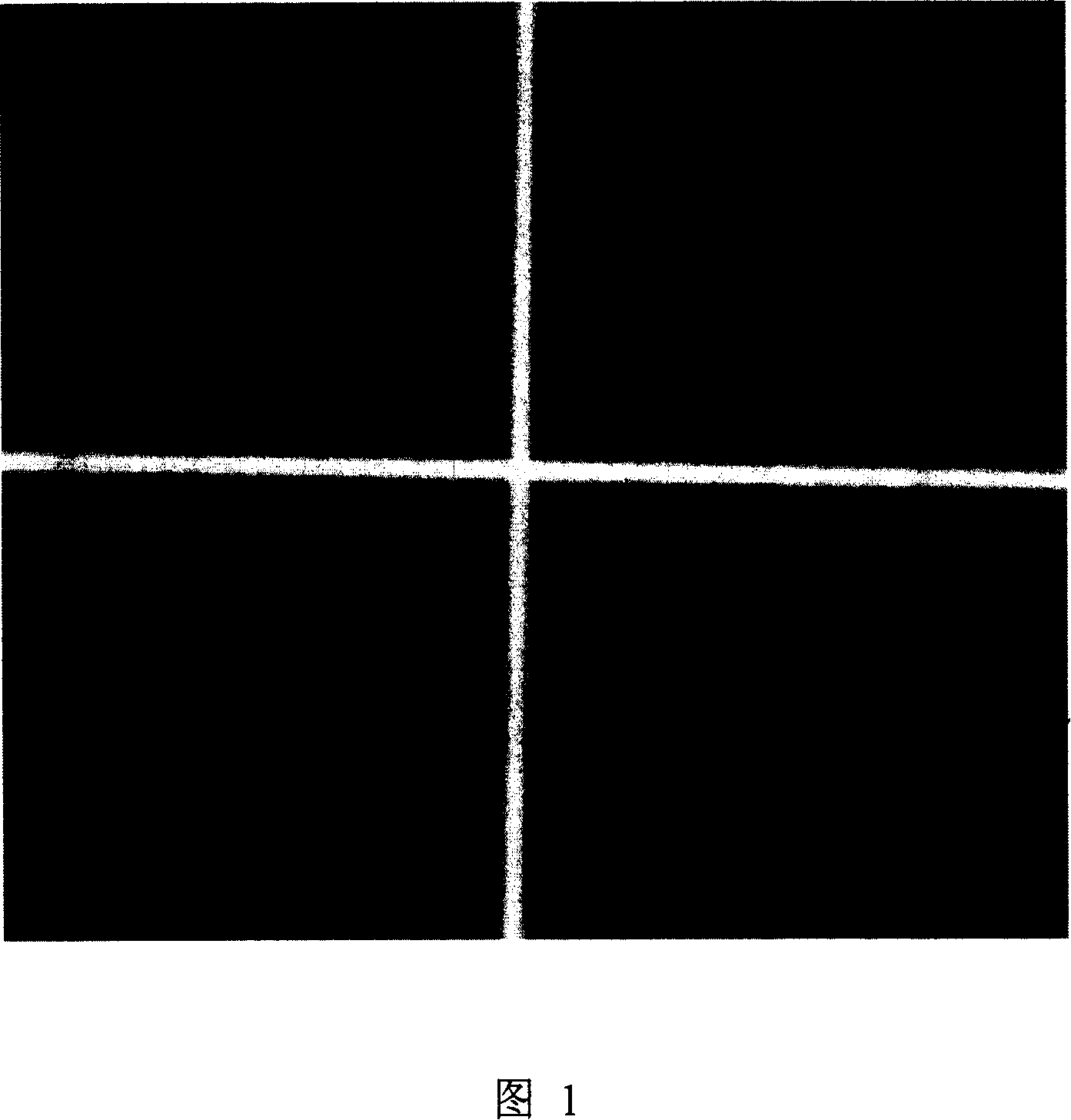 Electron beam alignment mark manufacture method and its uses