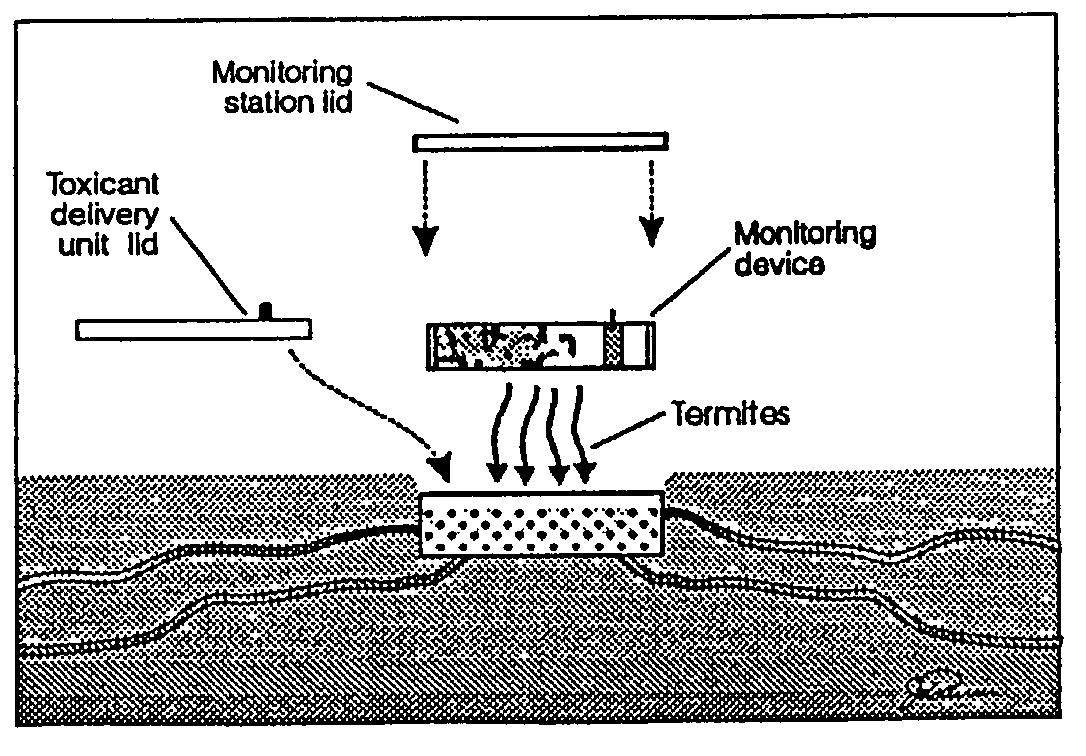 Remote monitoring system for detecting termites