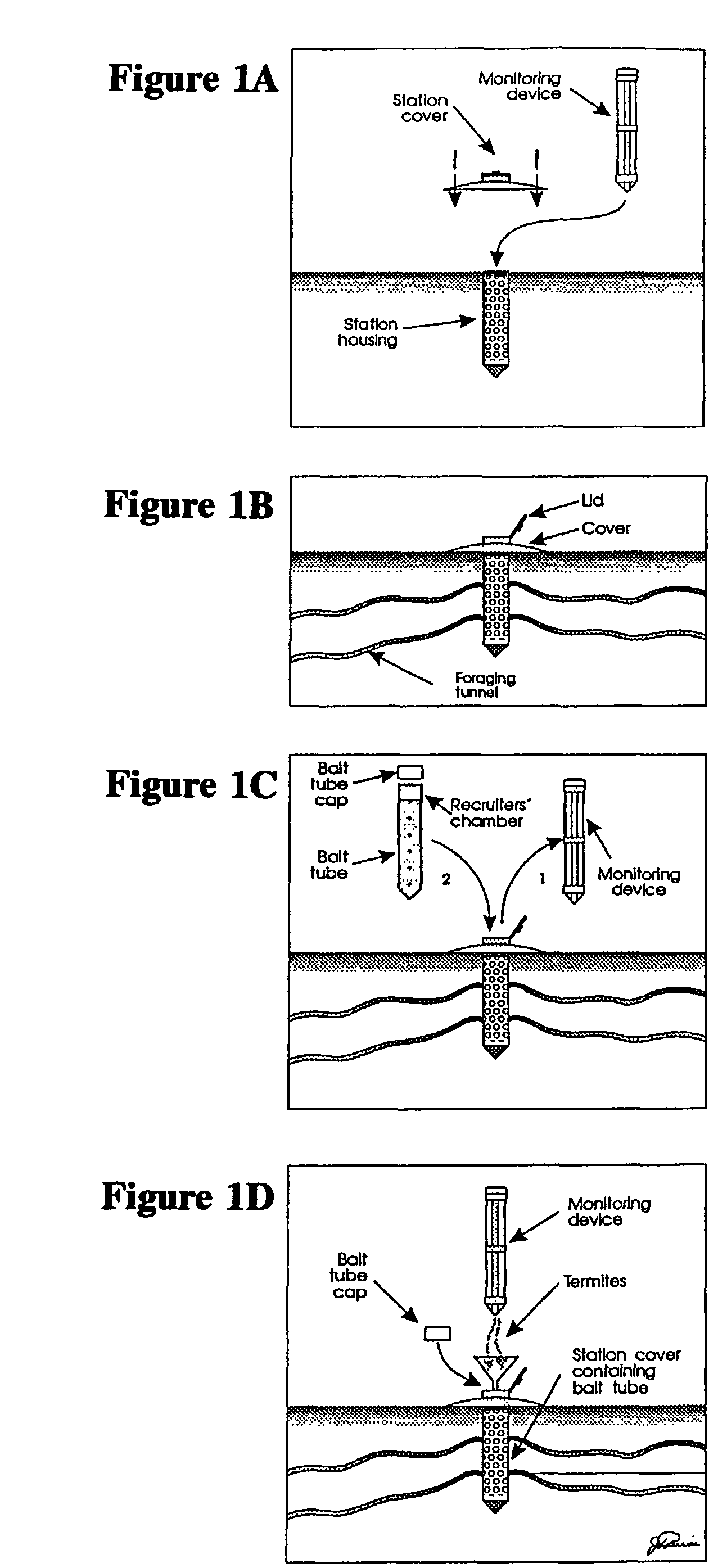 Remote monitoring system for detecting termites