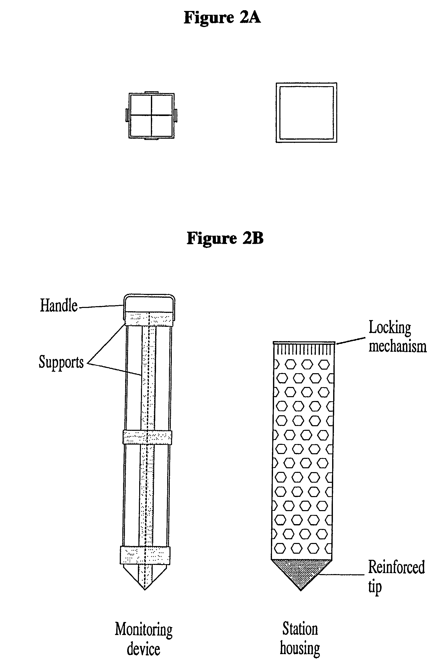 Remote monitoring system for detecting termites